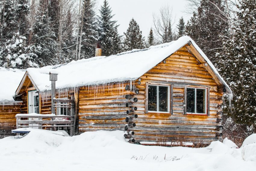 Quel est l'impact environnemental d'un chalet en bois ?