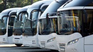 bus