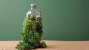 Bouteille en plastique rempli de plante