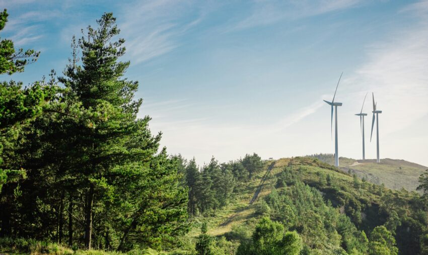 Forest landscape with wind turbines in the background