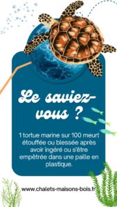 le saviez vous tortue paille plastique