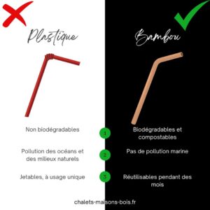 paille en plastique vs paille en bambou